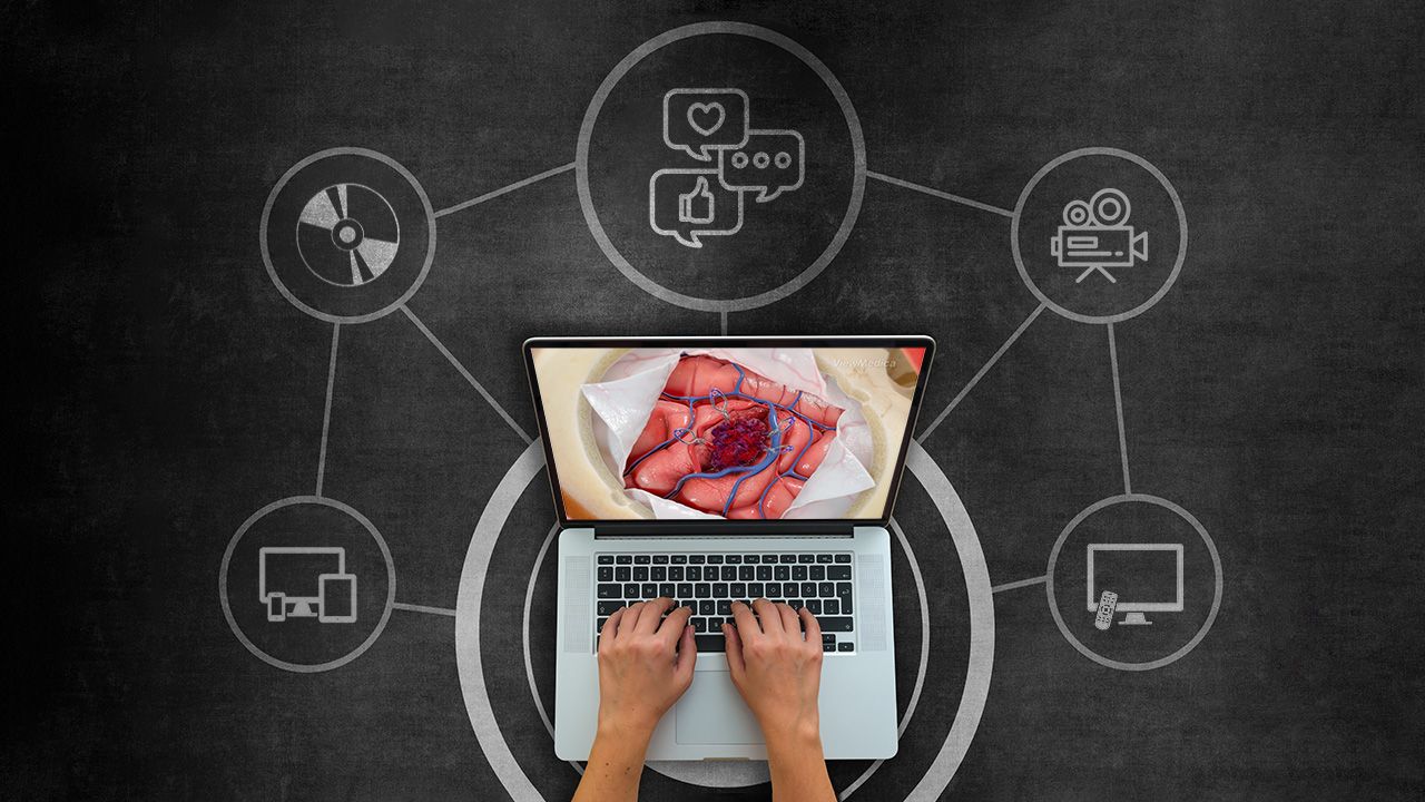 Use professional medical clips in your own video productions.