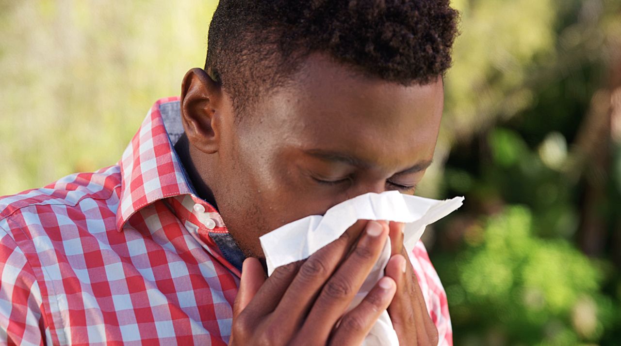 Allergy and Immunology Library Thumbnail