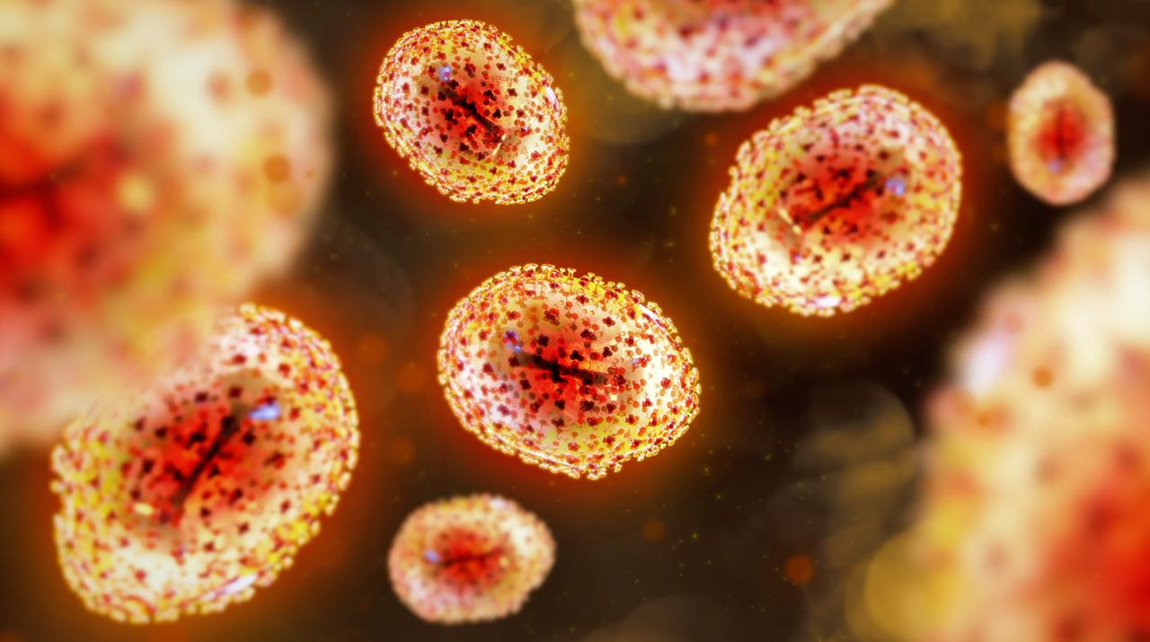 Infectious Diseases and Parasites Library Thumbnail