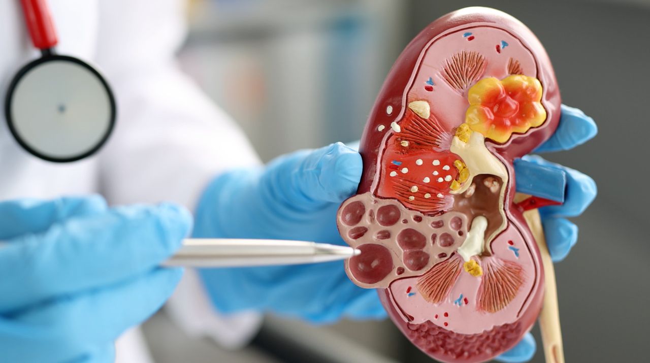 Nephrology Library Thumbnail