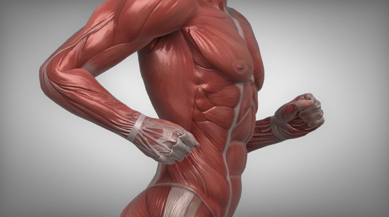 Sports Medicine Library Thumbnail