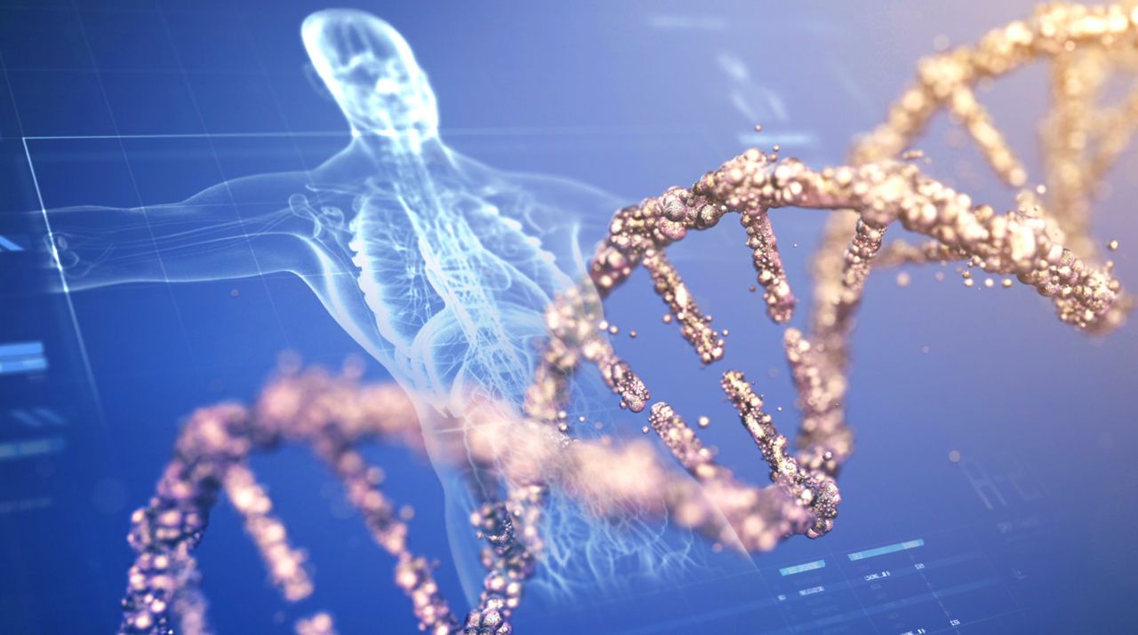 Systemic and Genetic Disorders Library Thumbnail