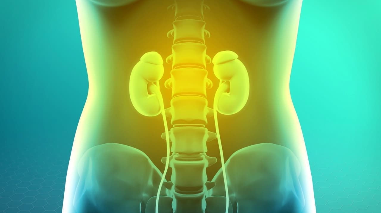 Spinal Cord Stimulator Implant And How It Can Help You - OAS