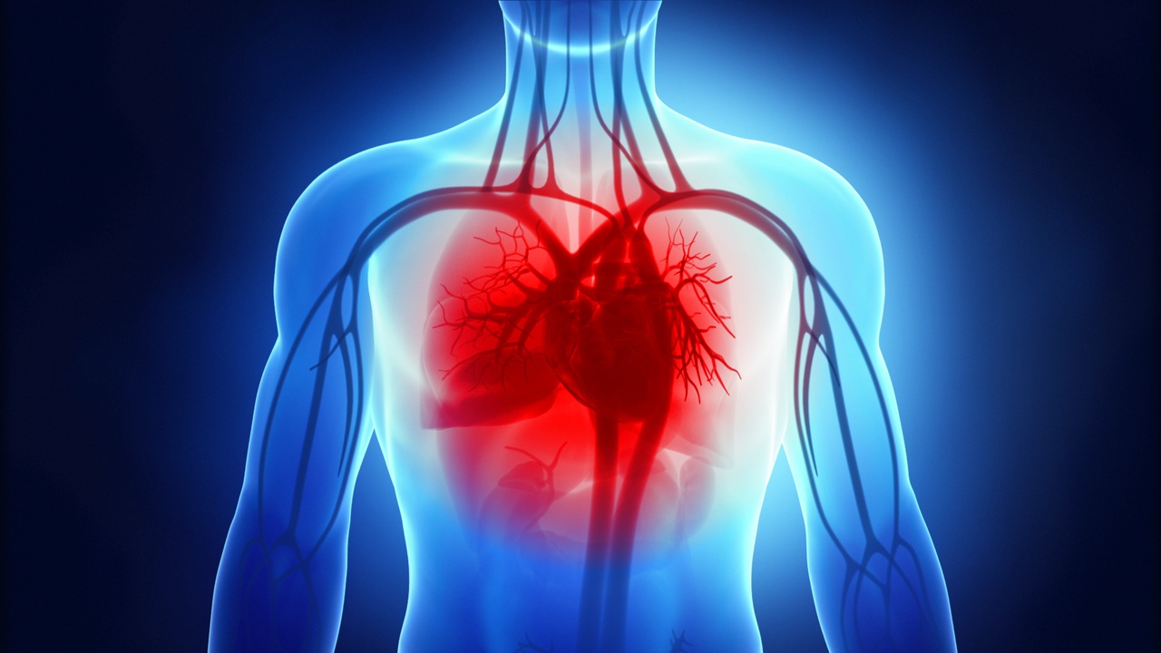 Heart Failure Symptoms and Treatments | Memorial Hermann Heart & Vascular  Institute