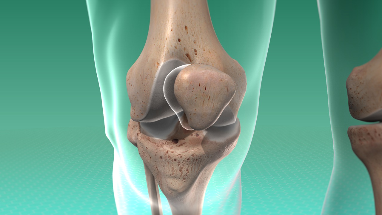 Реферат: Травма коленного сустава